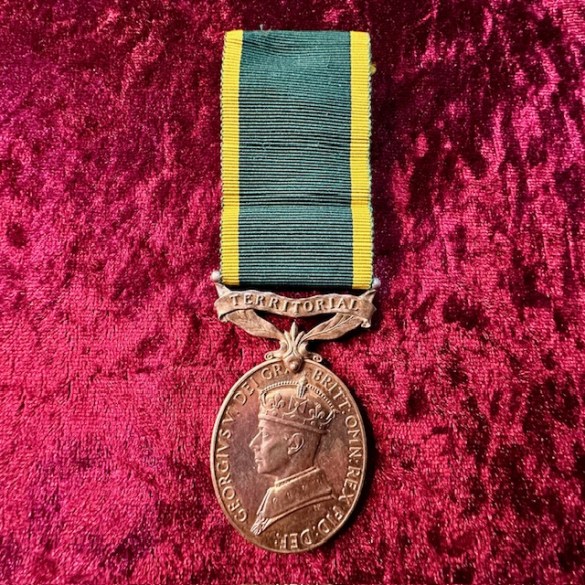 Territorial Efficiency Medal 1